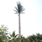 O mergulho quente da torre Monopole de aço da palmeira da telecomunicação galvanizou