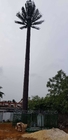 Torre camuflada da palmeira do pinho de uma comunicação altura de 0m - de 80m