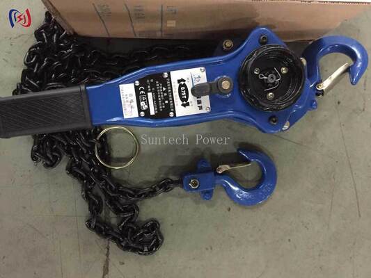 Heavy Duty Chain Type Handle Hoist with 5-90KN Rated Load 1.5M Lifting Height and 1-3 Row Lifting Chain for Power Plant Maintenance