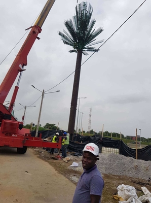 Torre Monopole de aço camuflada pinheiro para a telecomunicação
