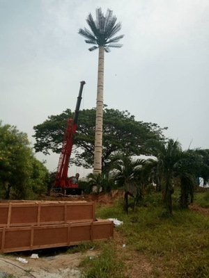 O mergulho quente de Disguized da torre Monopole de aço da palmeira galvanizou