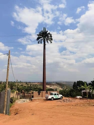 Torre Monopole de aço camuflada da palmeira para Telecommunciation
