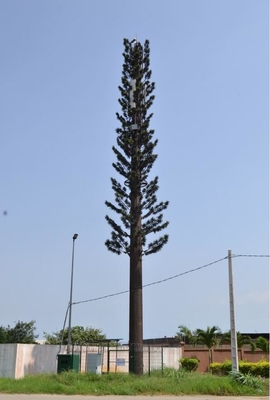 A palmeira camufla a torre de aço de Polo altura de 10 - de 80m