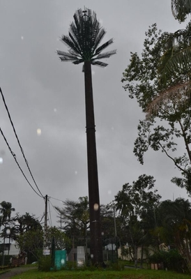 Torre de antena tubular móvel do pinheiro para a telecomunicação