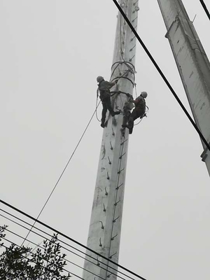 O mergulho quente Monopole de aço de torre de comunicação Q345 galvanizou
